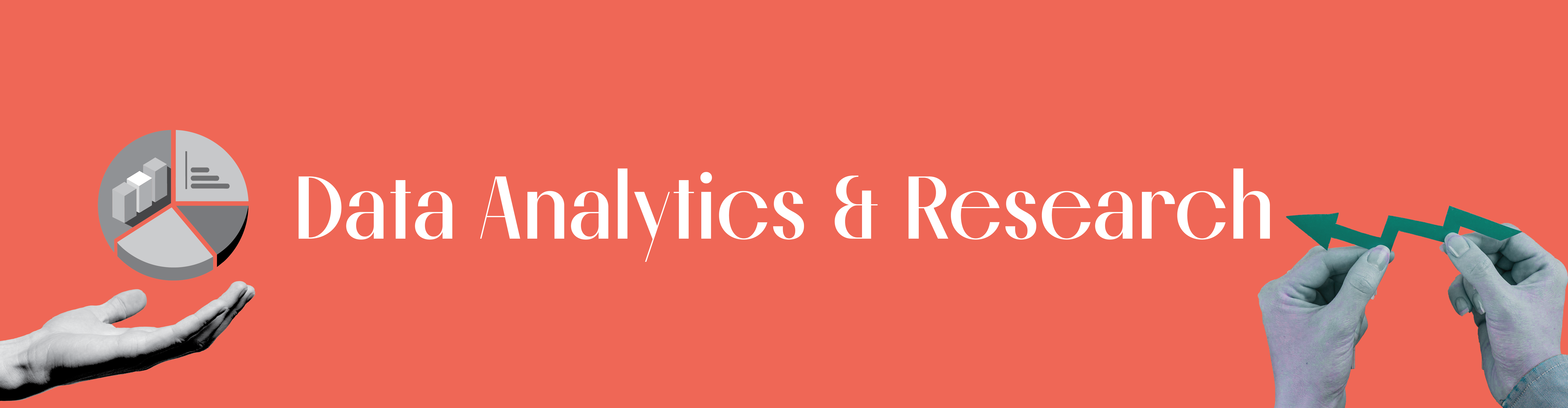 The social lions Data Analytics and Research