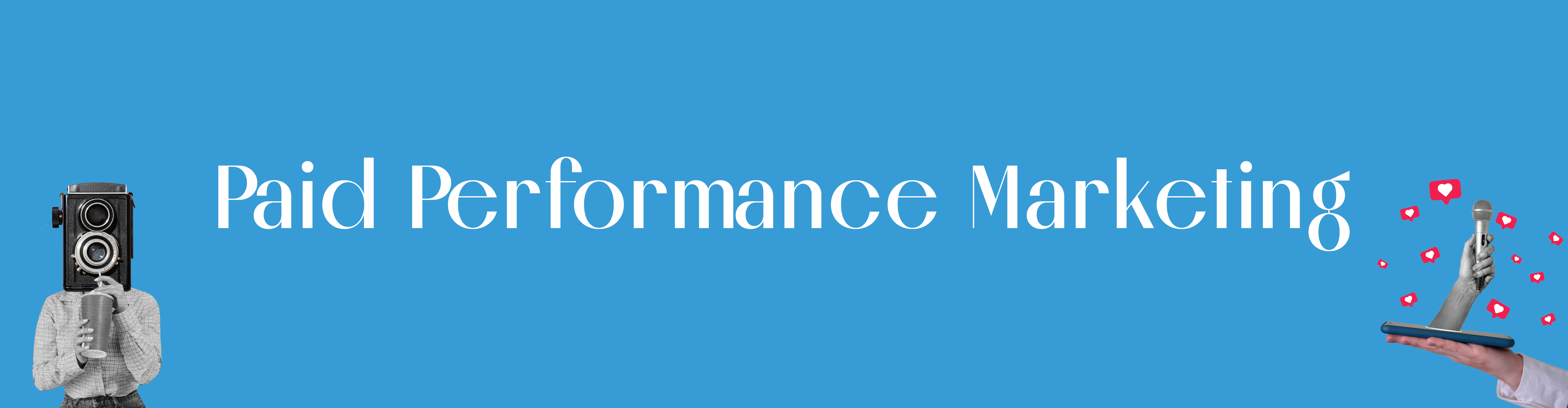 The social lions Paid Performance Marketing