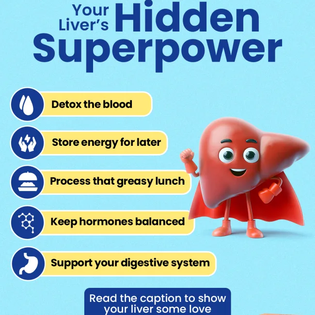 MWC--Your-Liver’s-hidden-superpower